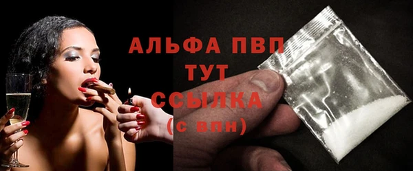 индика Аркадак