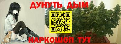 мяу мяу мука Бузулук