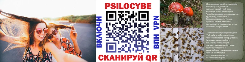 Галлюциногенные грибы прущие грибы  купить наркотик  Димитровград 